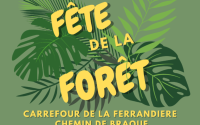 Fête de la Forêt 2024