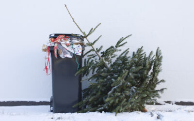 DÉCHETS DES FÊTES